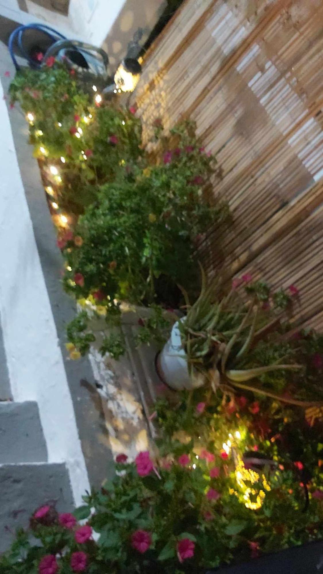 מירינה Kostas Studios Apartments - Ενοικιαζόμενα Δωμάτια Με Κουζινάκι מראה חיצוני תמונה